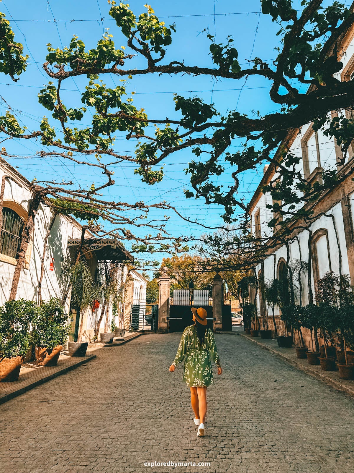 Calle Ciegos, one of Spain’s most beautiful streets in Jerez de la Frontera, Spain