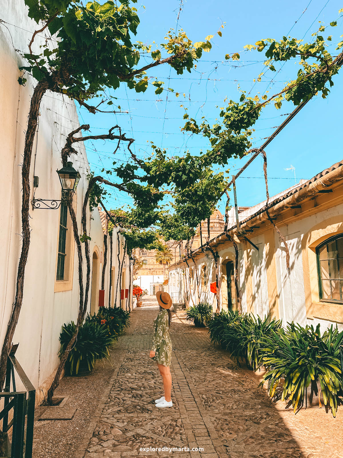 Calle Ciegos, one of Spain’s most beautiful streets in Jerez de la Frontera, Spain