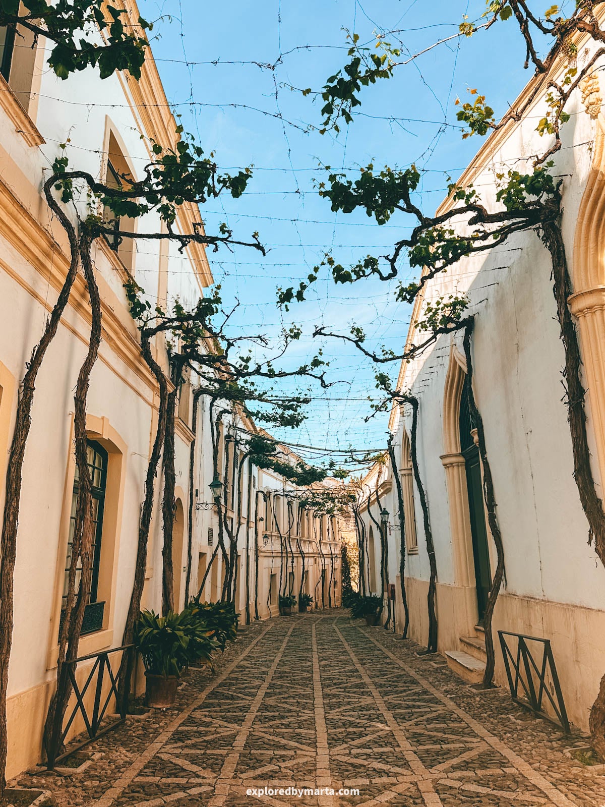 Calle Ciegos, one of Spain’s most beautiful streets in Jerez de la Frontera, Spain