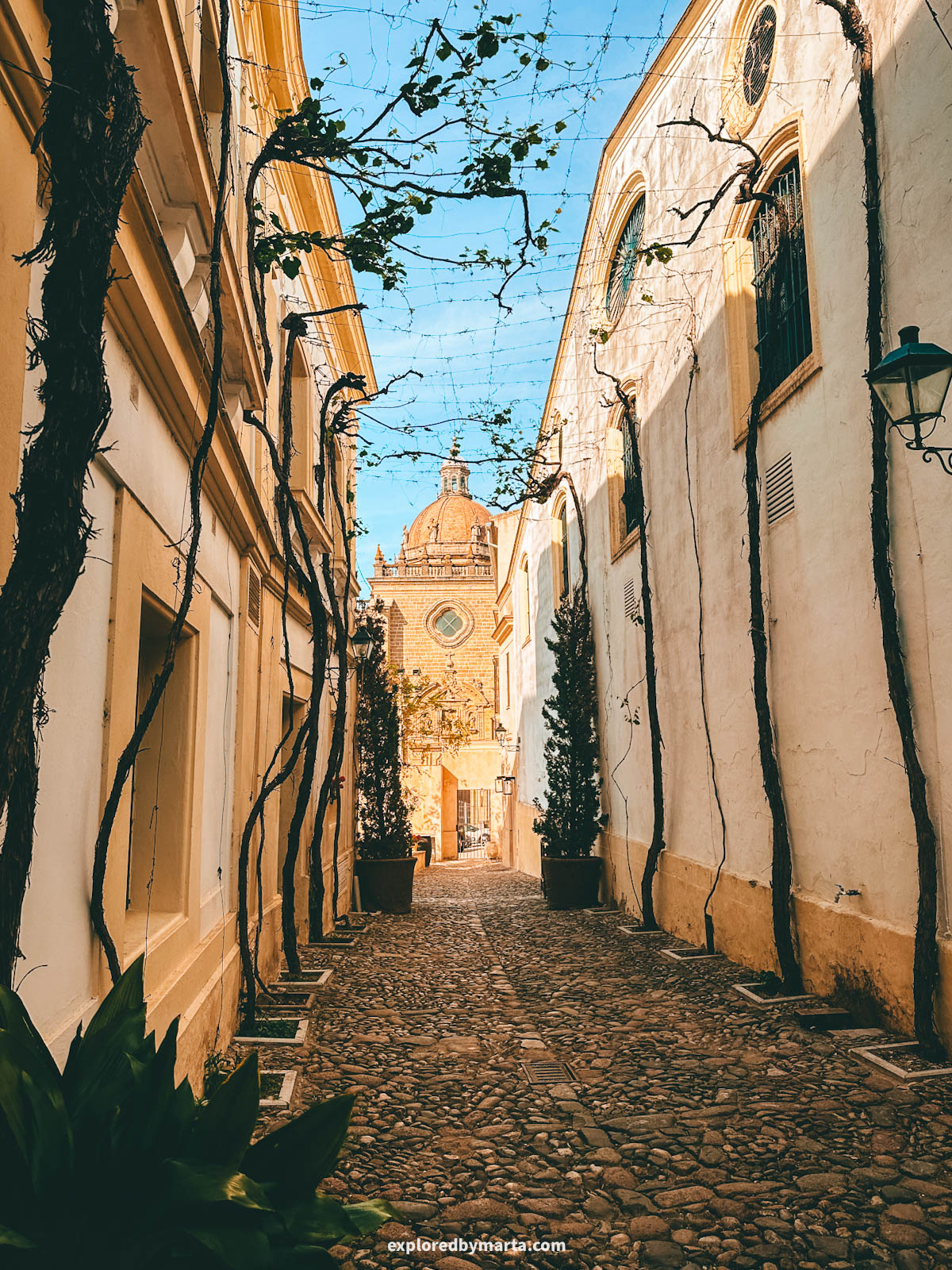 Calle Ciegos, one of Spain’s most beautiful streets in Jerez de la Frontera, Spain