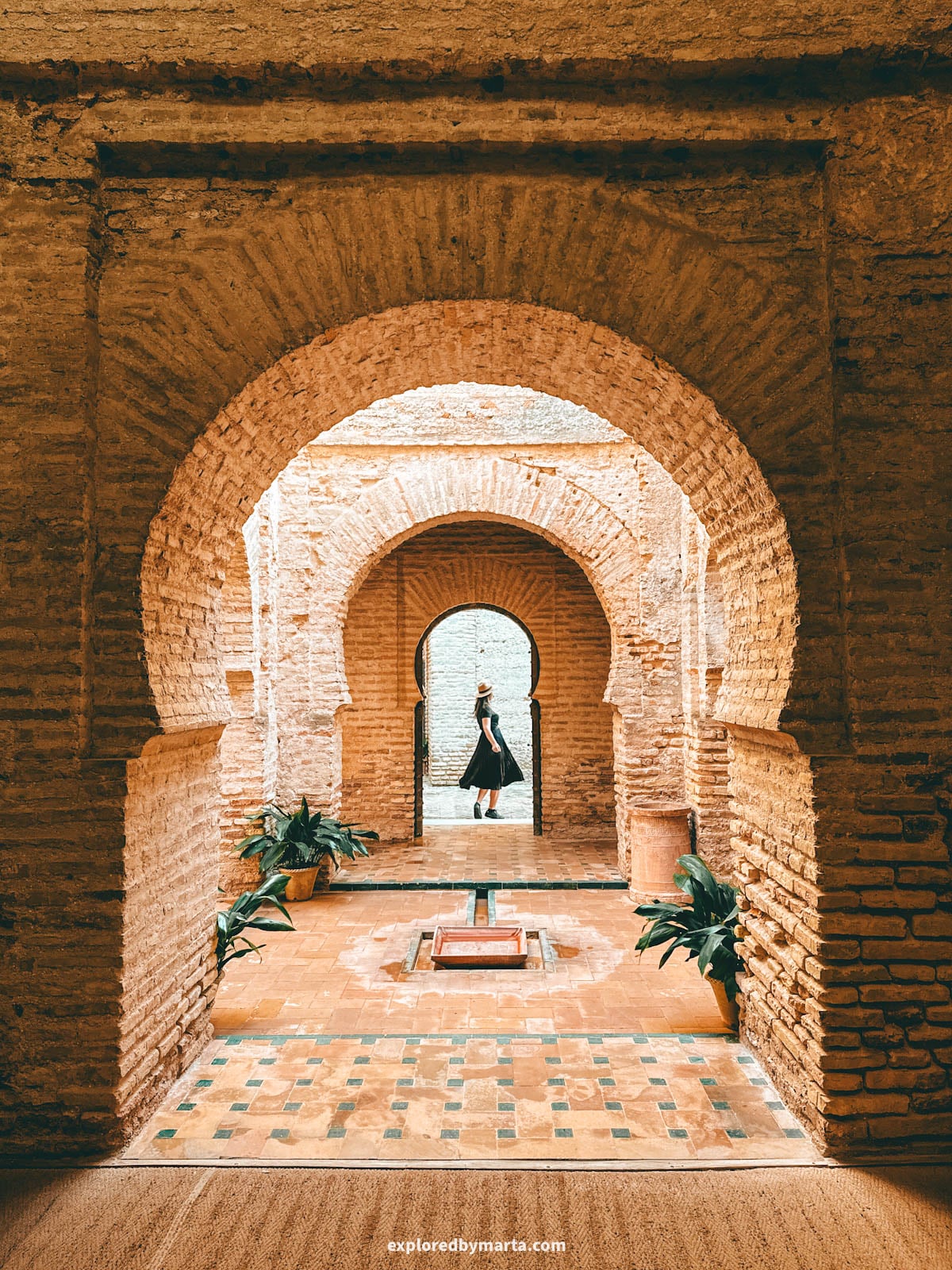 Exploring Alcázar de Jerez de la Frontera, Spain