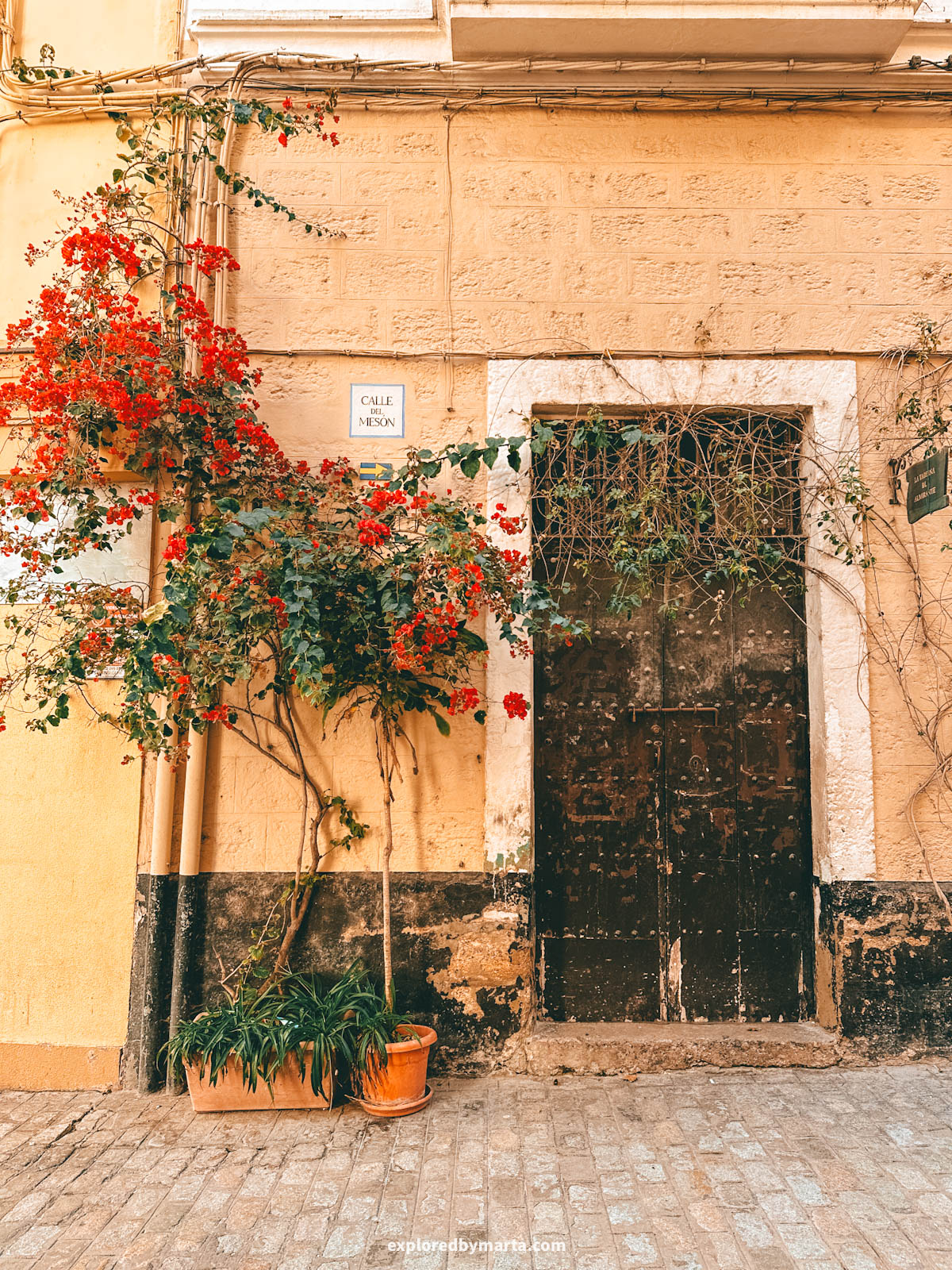 Exploring the old town in Cádiz, Spain