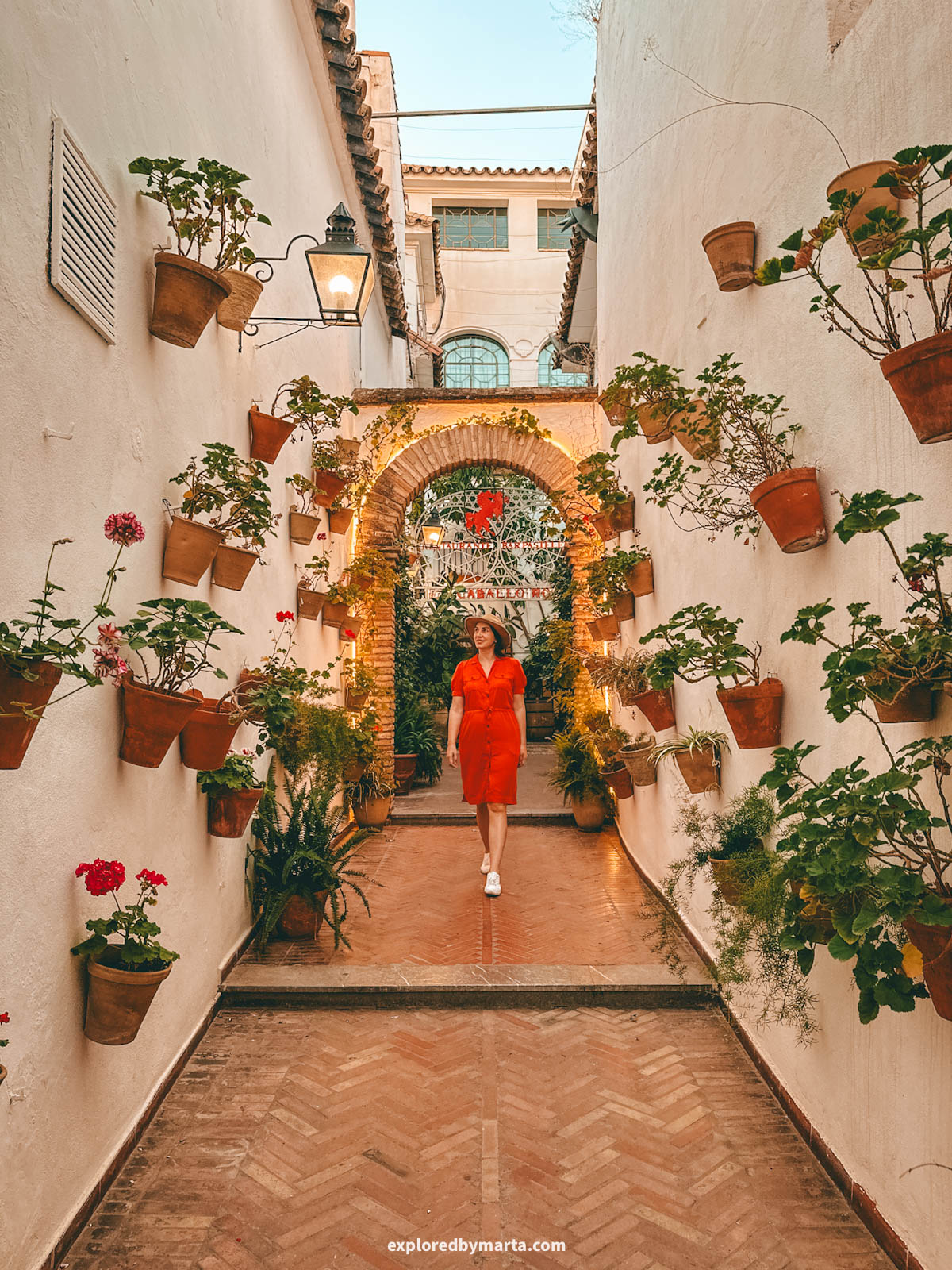 Flowery alley at Restaurante El Caballo Rojo in Córdoba, Spain