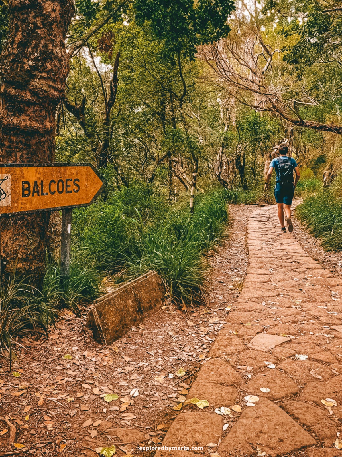 Hiking Vereda dos Balcões trail in Madeira Island, Portugal