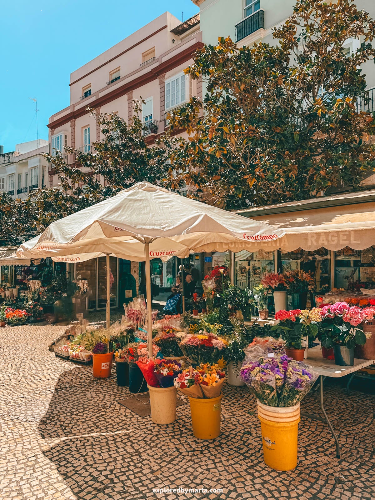 Plaza de las Flores market in Cádiz, Spain