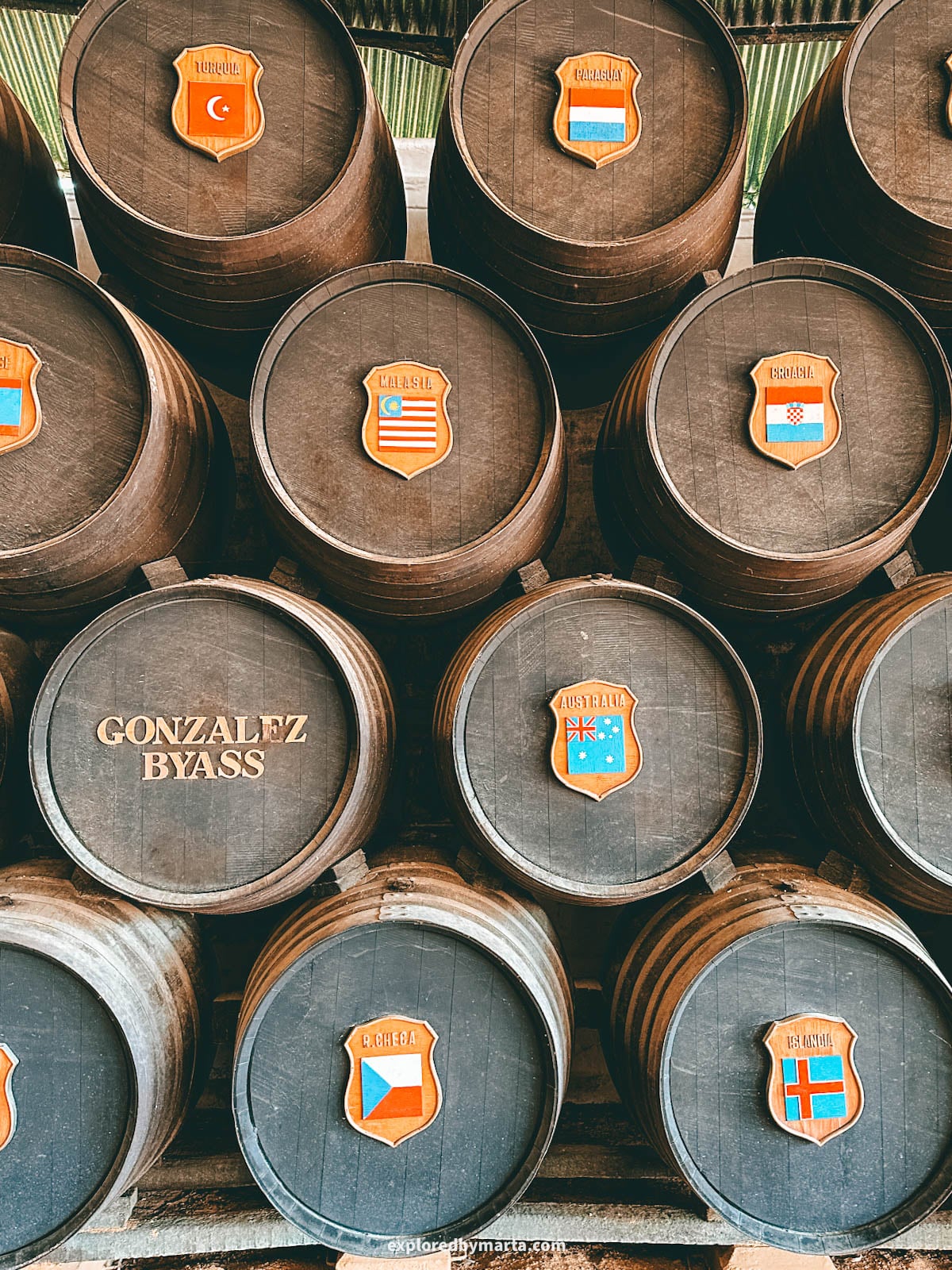 Touring Bodega Tio Pepe sherry bodega and doing sherry tasting in Jerez de la Frontera, Spain