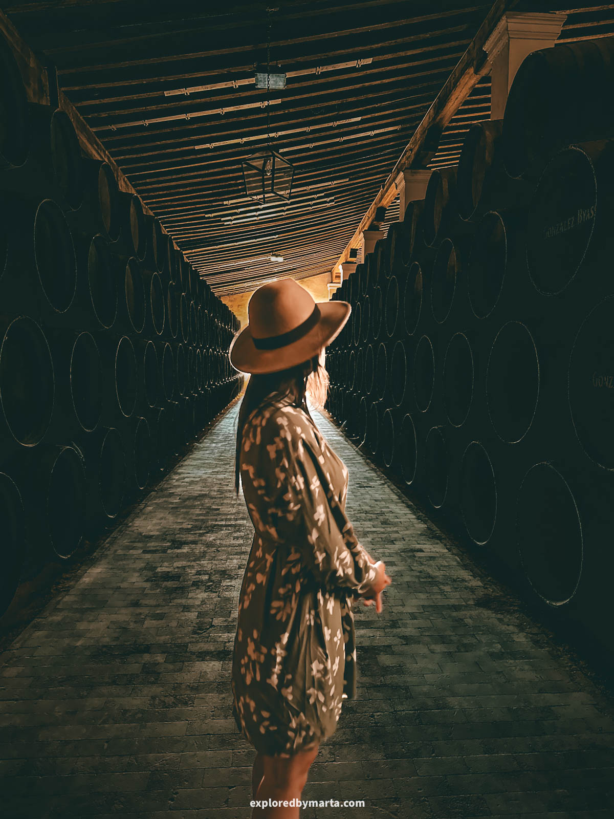 Touring Bodega Tio Pepe sherry bodega and doing sherry tasting in Jerez de la Frontera, Spain