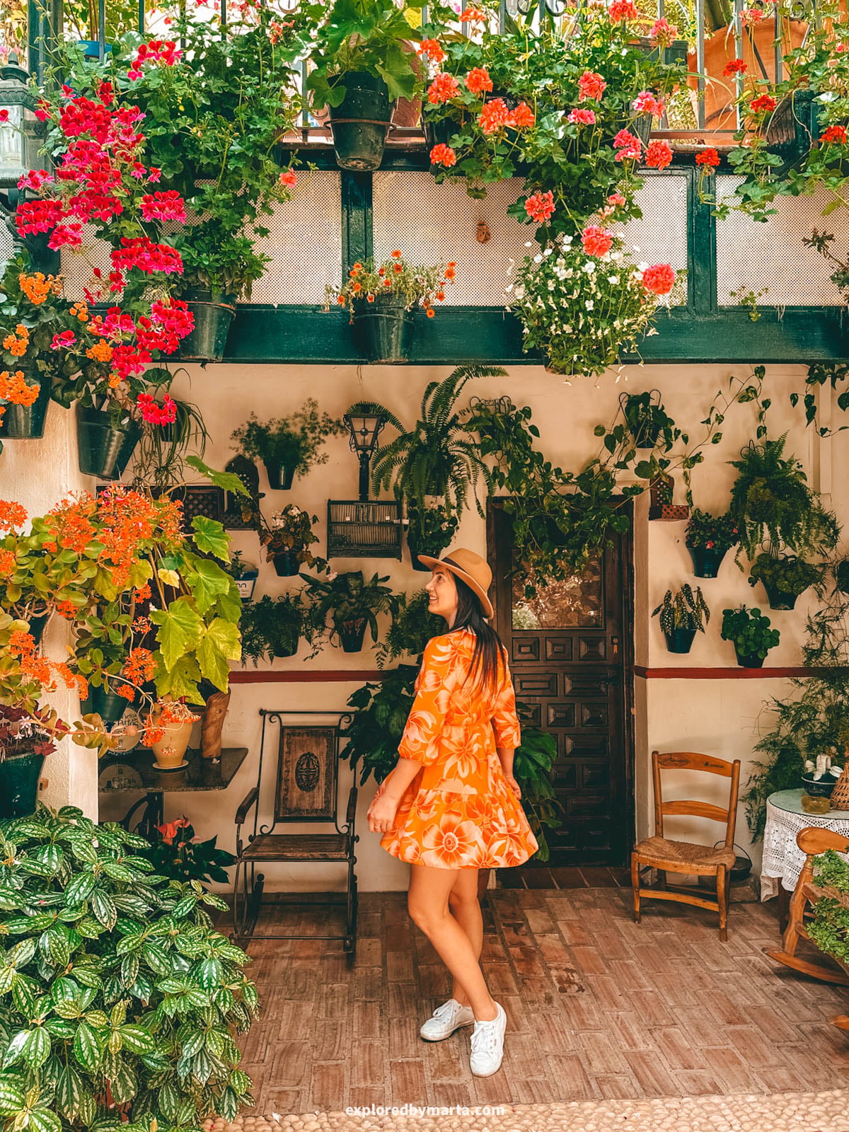 Visiting the famous flower courtyards Patios de Córdoba in San Basilio neighborhood in Córdoba, Spain