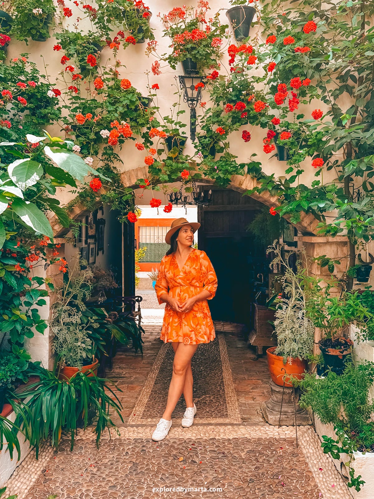Visiting the famous flower courtyards Patios de Córdoba in San Basilio neighborhood in Córdoba, Spain