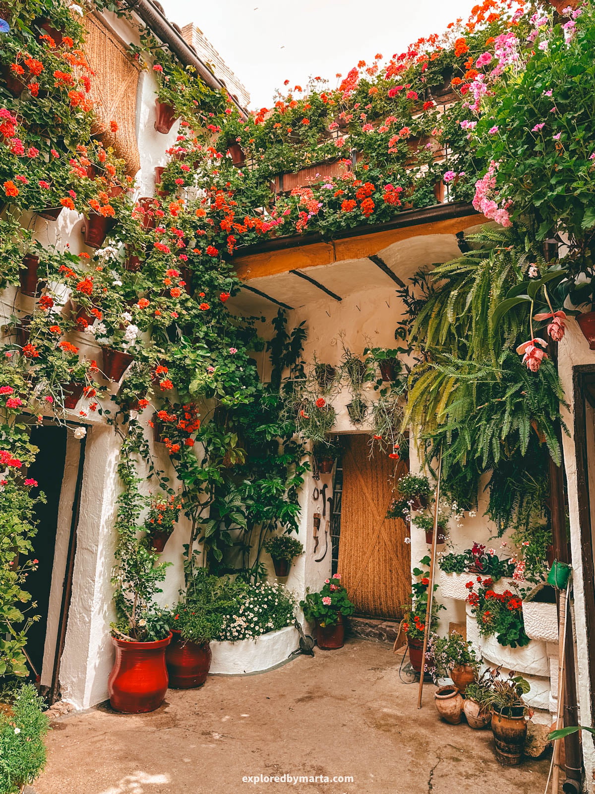 Visiting the famous flower courtyards Patios de Córdoba in San Basilio neighborhood in Córdoba, Spain