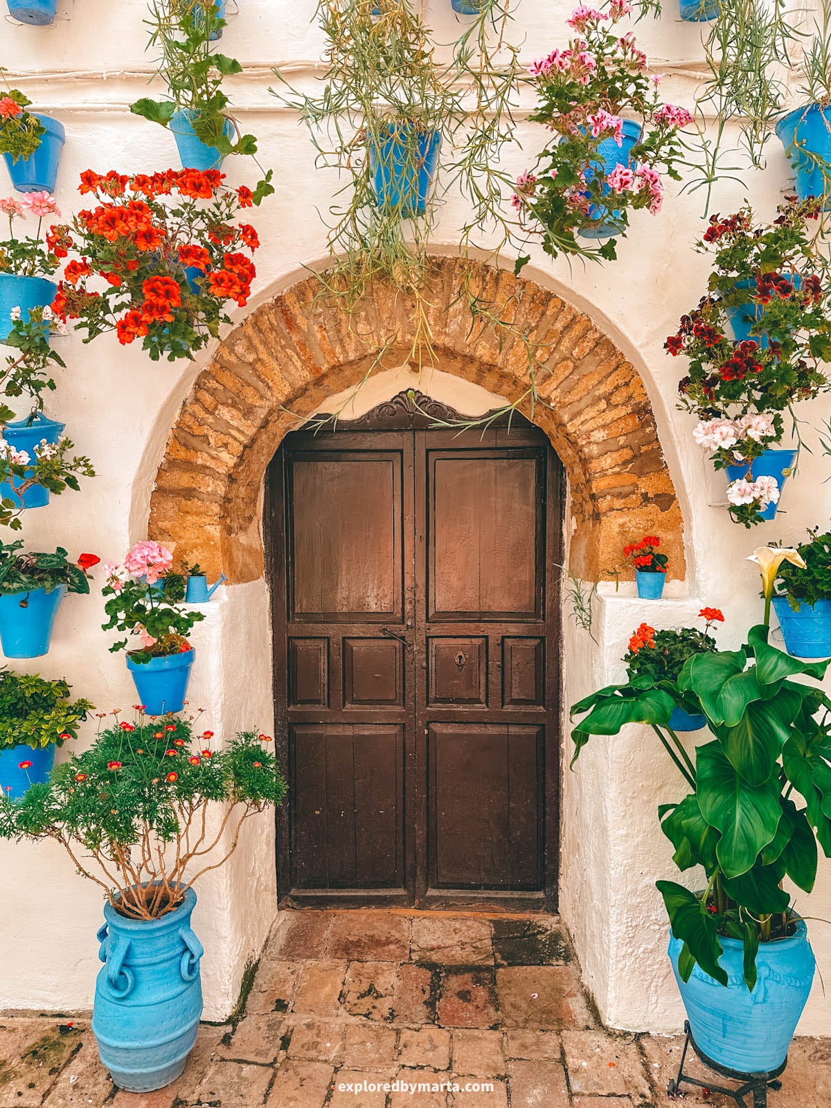 Visiting the famous flower courtyards Patios de Córdoba in San Basilio neighborhood in Córdoba, Spain
