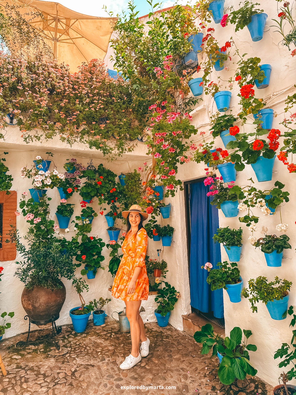 Visiting the famous flower courtyards Patios de Córdoba in San Basilio neighborhood in Córdoba, Spain