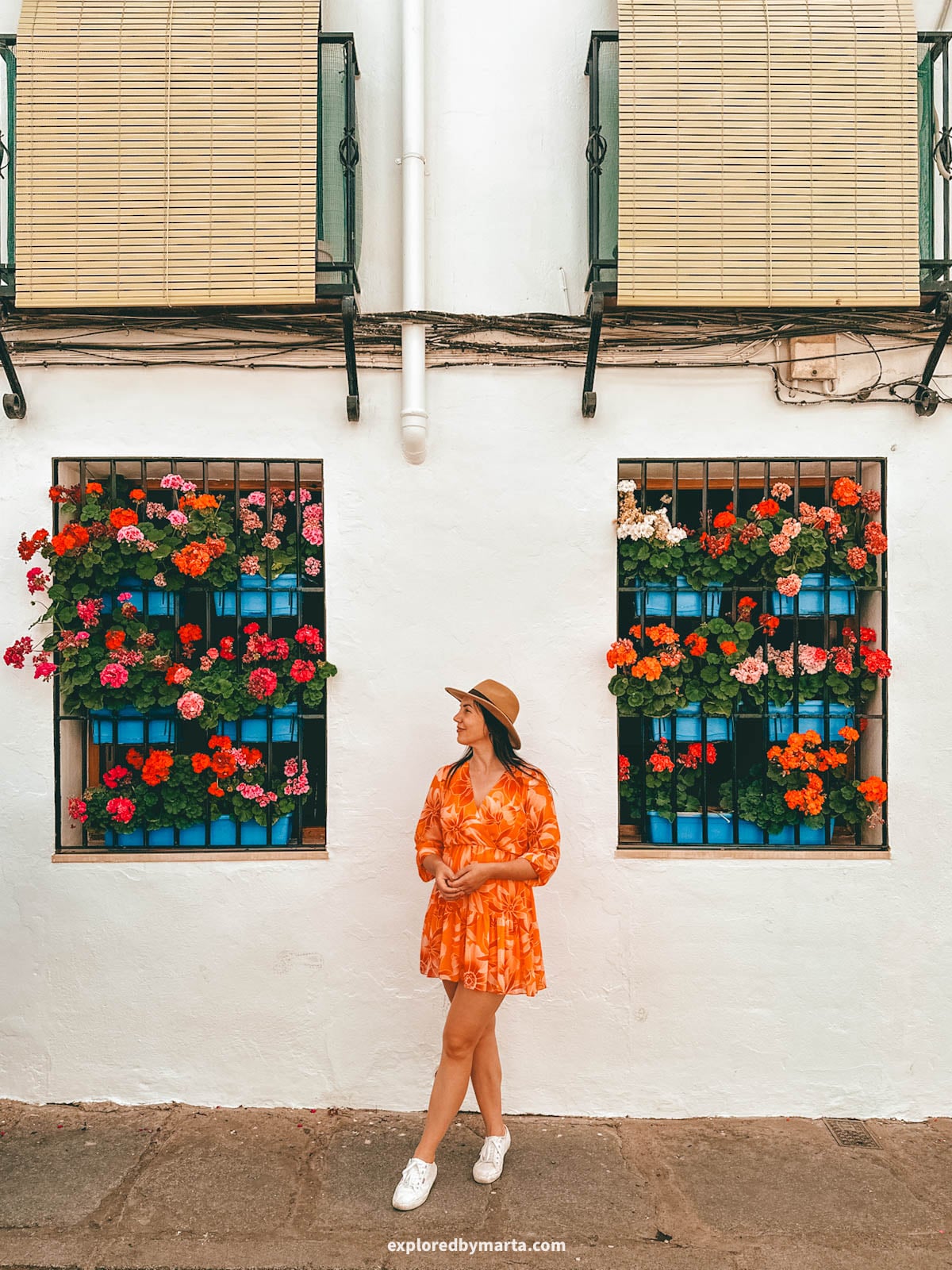 Visiting the famous flower courtyards Patios de Córdoba in San Basilio neighborhood in Córdoba, Spain