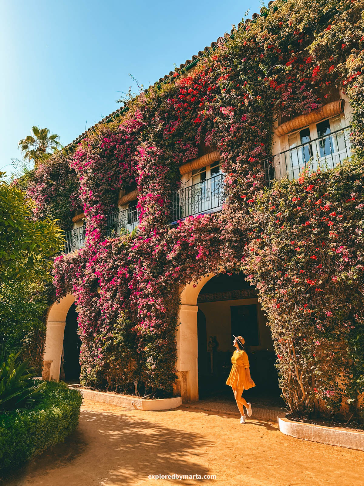 Blooming gardens at Palacio de las Dueñas in Seville, Spain
