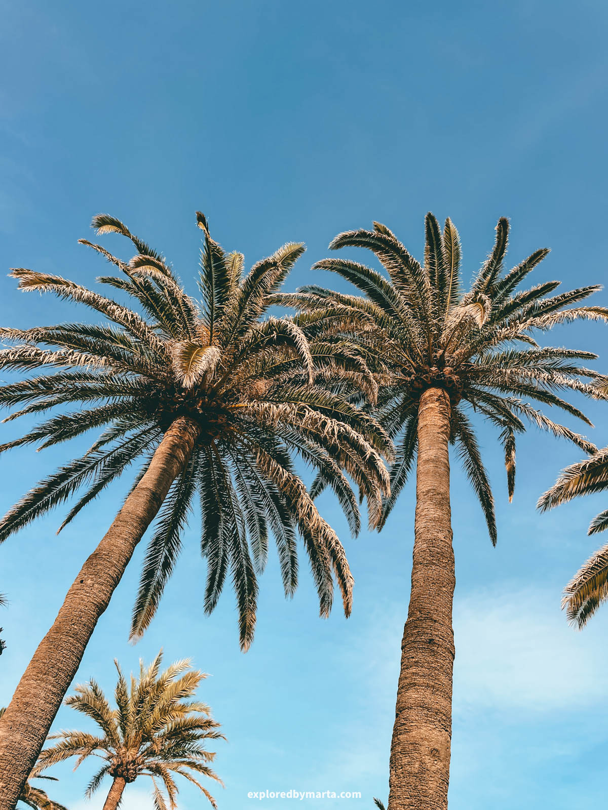 Plaza Balcón de Europa in Nerja, Spain