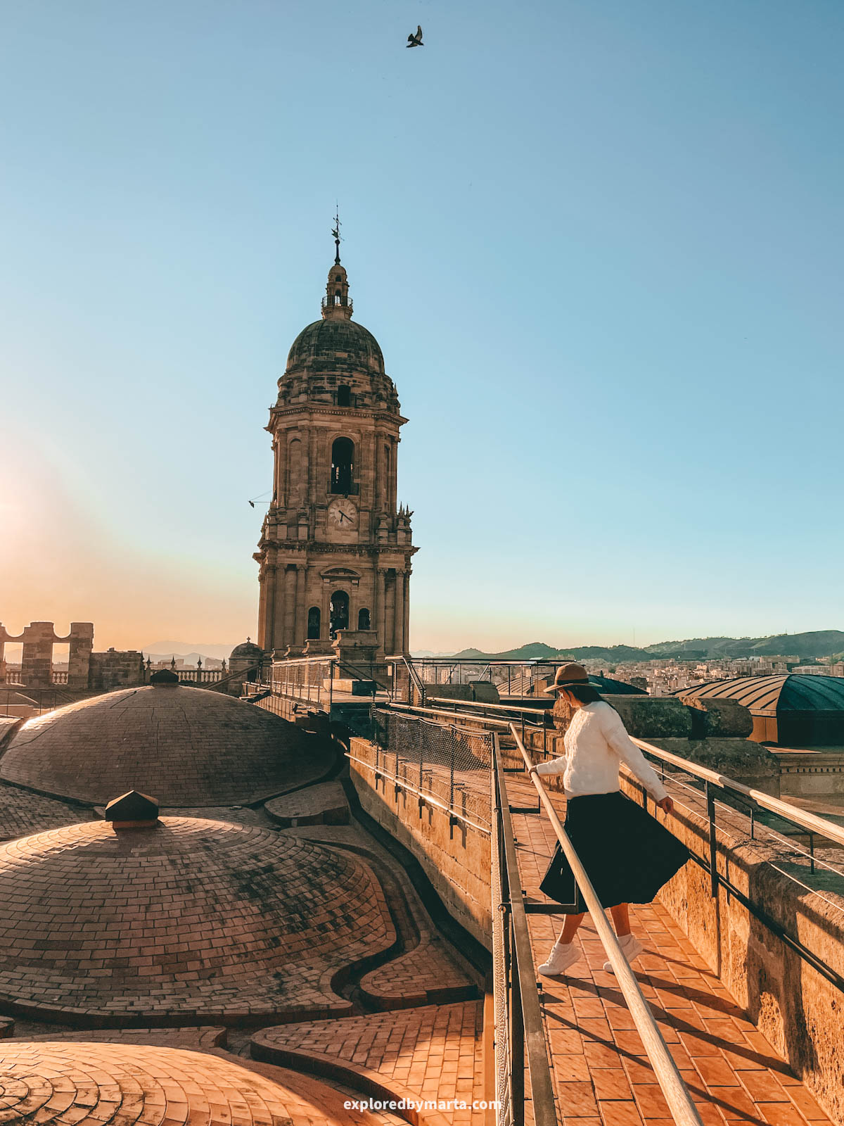 Roof of the Catedral de Málaga in Malaga, Spain