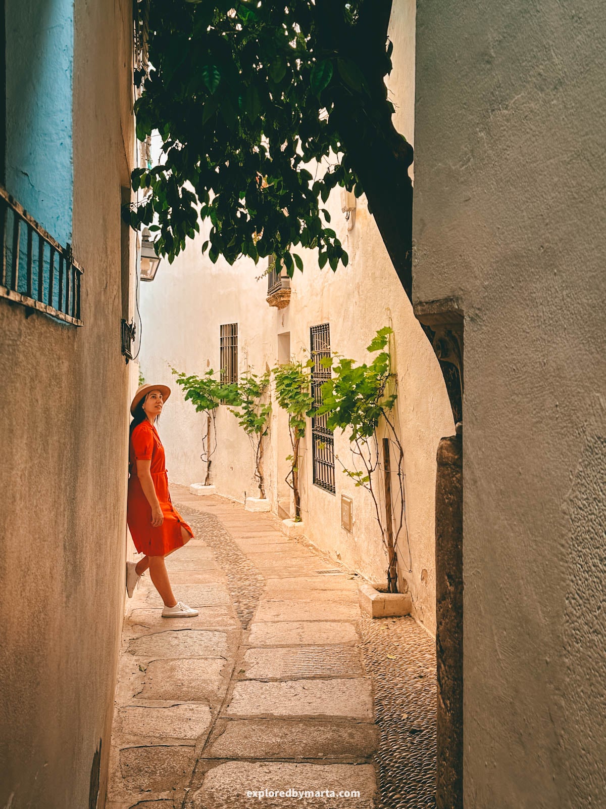 Calleja del Pañuelo, one of the narrowest streets in Córdoba, Spain