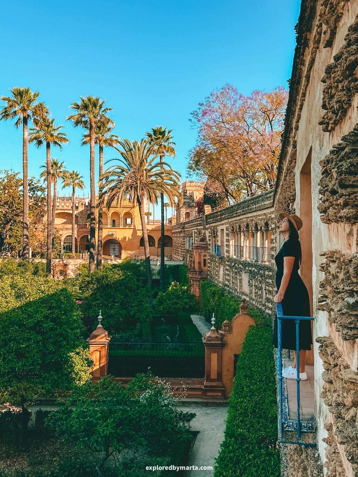 The palm-lined gardens of the Royal Alcázar of Seville, Spain