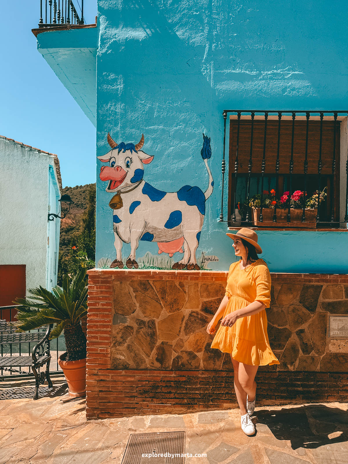 Animal paintings on Calle Fuente Caraila in Juzcar village in Spain