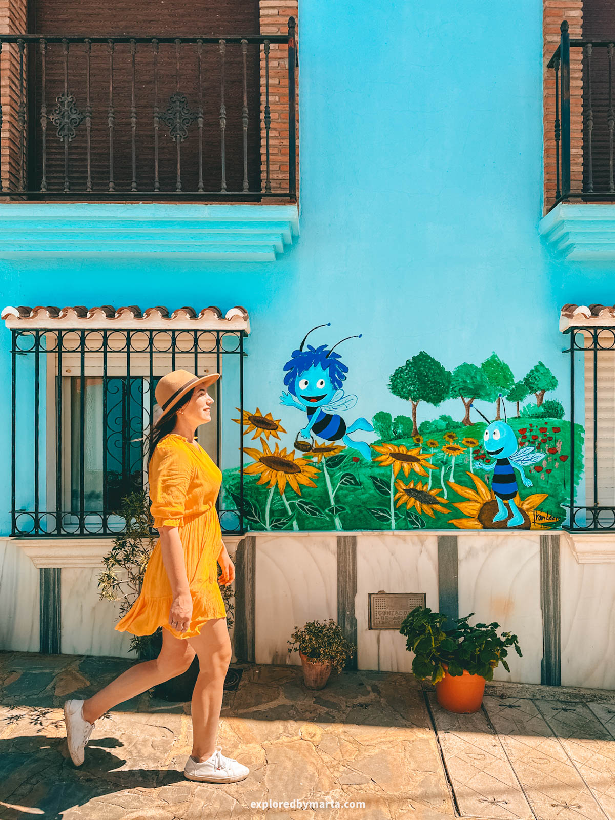 Animal paintings on Calle Fuente Caraila in Juzcar village in Spain