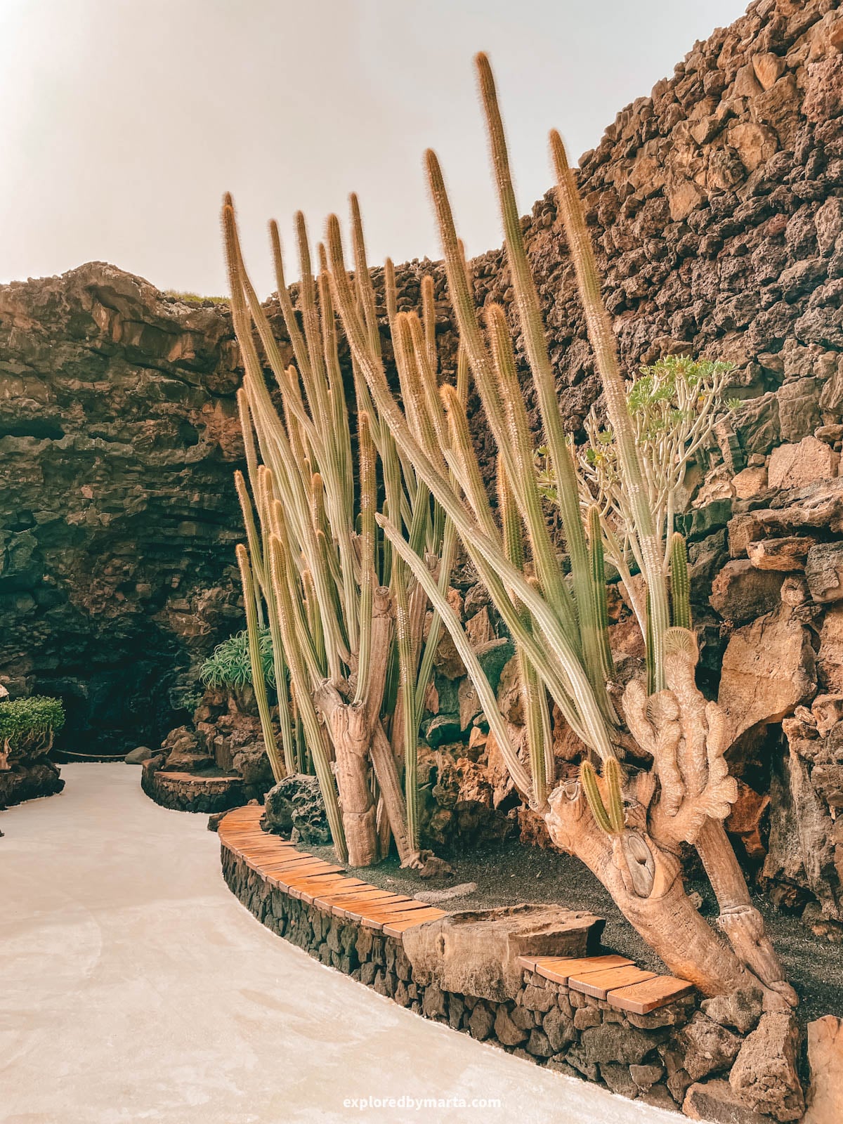 Jameos del Agua by César Manrique in Lanzarote, Spain