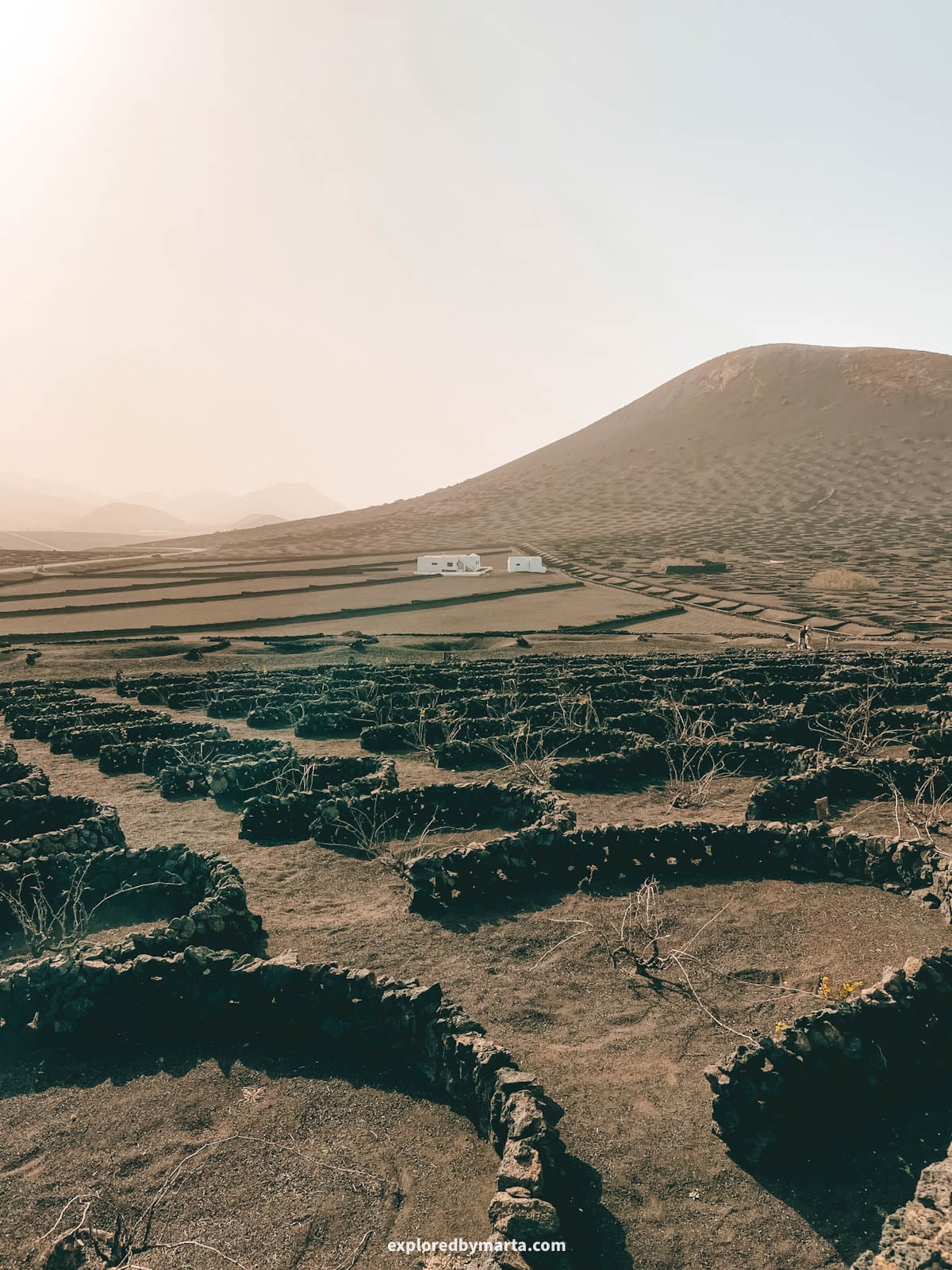 La Geria volcanic vine pits in Lanzarote, Spain