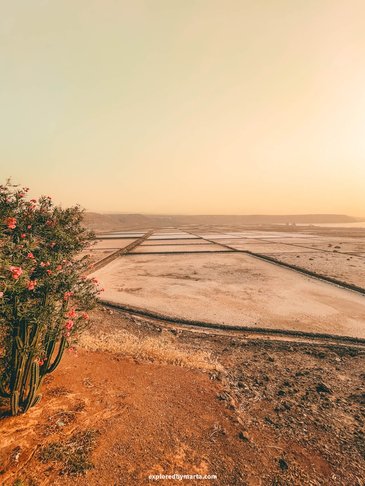 Salinas de Janubio salt lagoons at sunset in Lanzarote, Spain